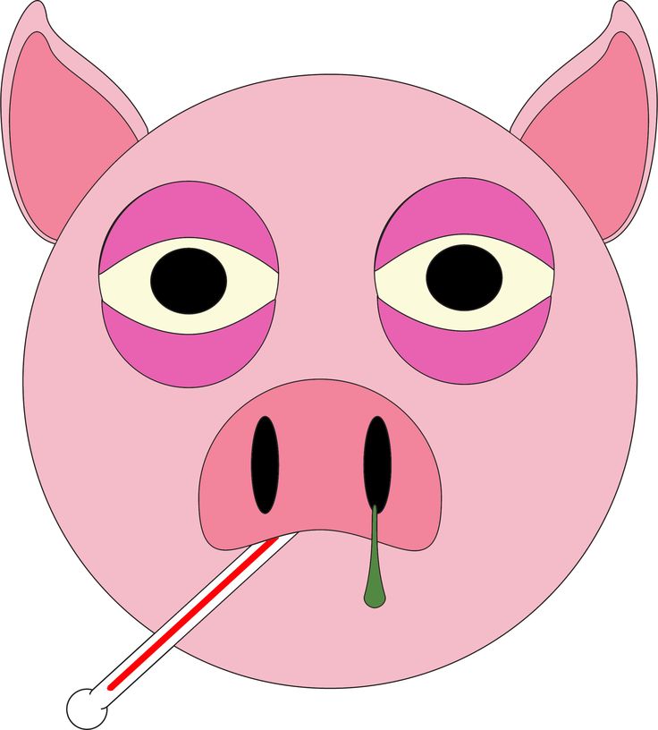 Pin by Nanna's Wisdom( jennifer Abel) on pigs pigs pigs | Pinterest