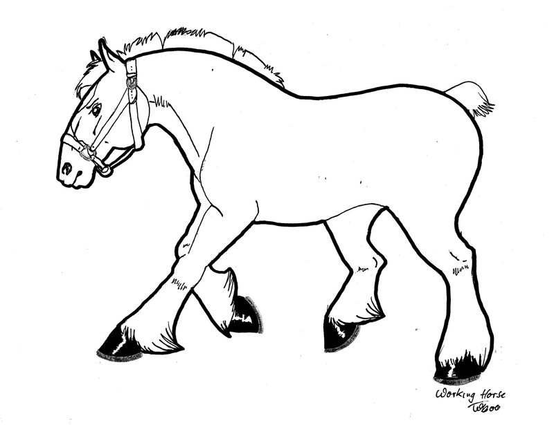 Draft horse Lineart 2 by CaveLupa on deviantART