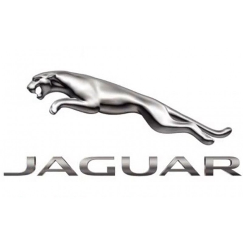 Jaguar Logo | Logo Logo Design