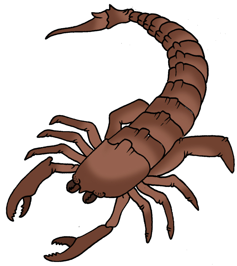 Scorpion Art