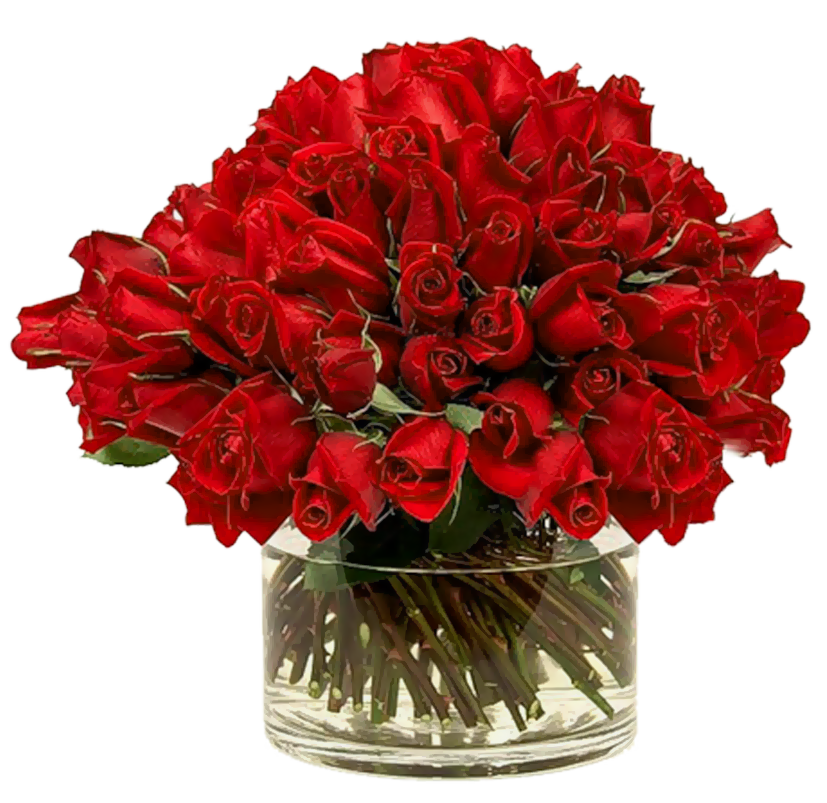 Transparent Red Roses In Vase - Cliparts.co