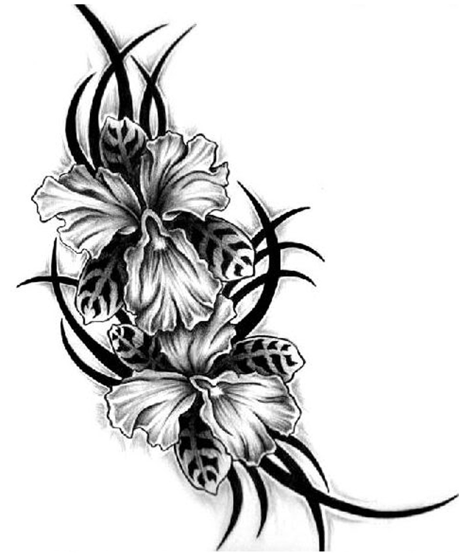Flowers For > Tribal Flower Tattoo Designs