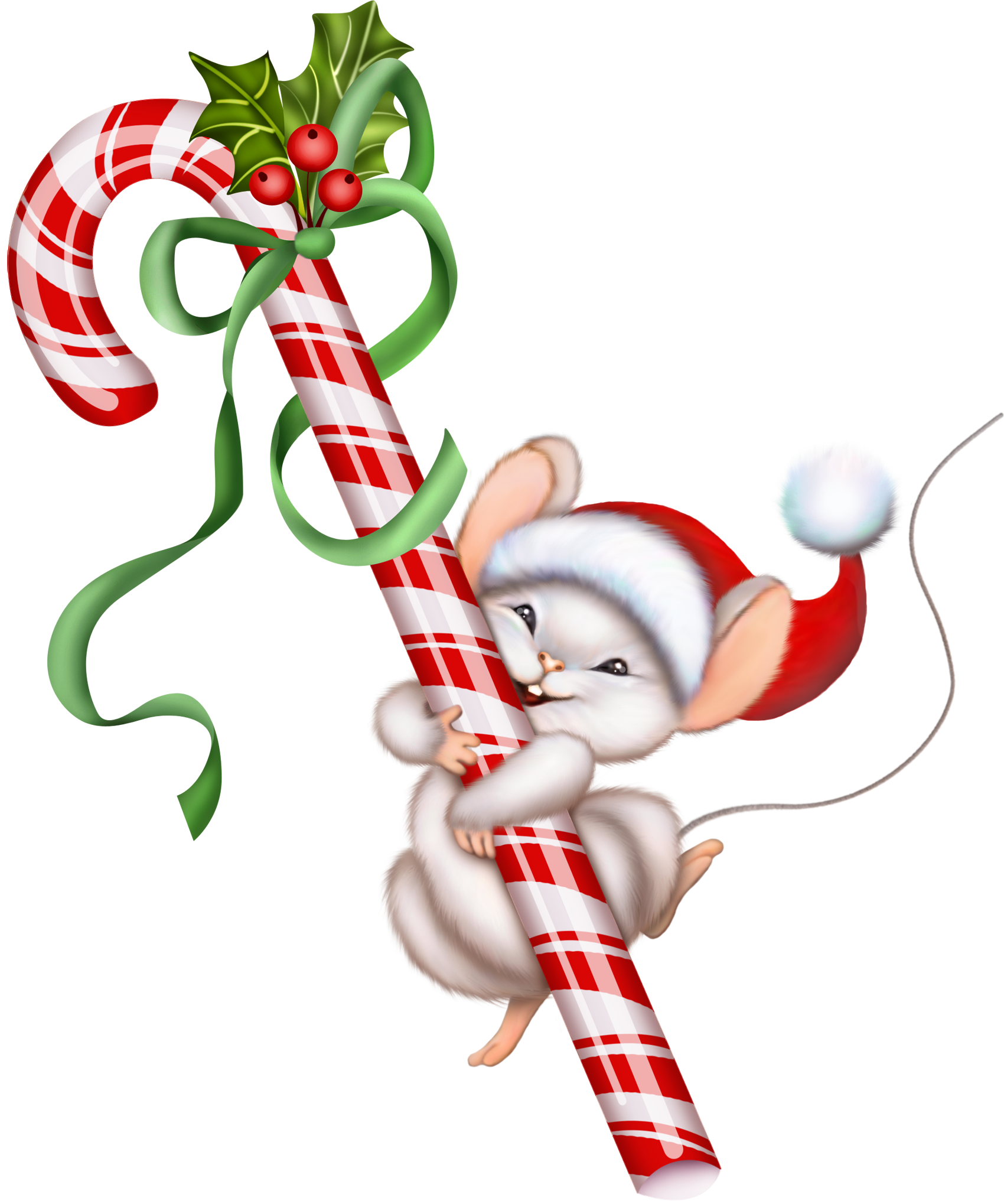 Images For > Candy Cane Clipart