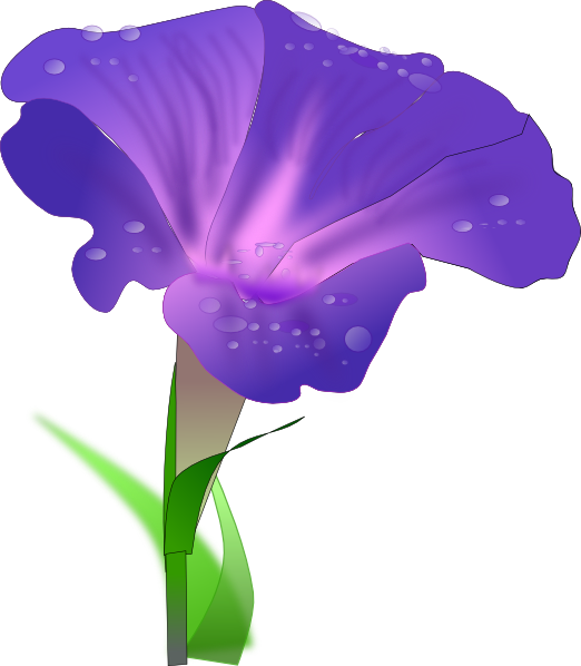 clipart iris flower - photo #11