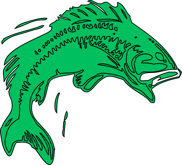 Bass Fish Green clip art - vector clip art online, royalty free ...