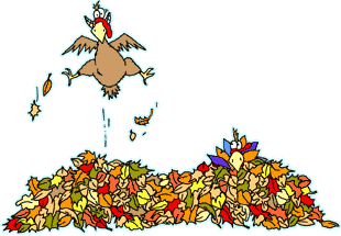 Animated Happy Turkey Day Images & Pictures - Becuo