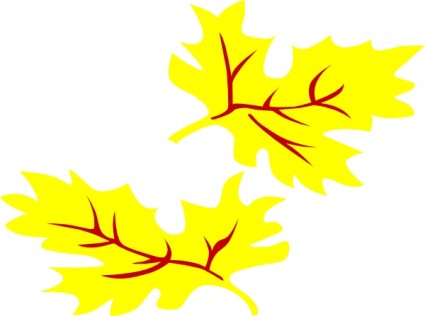 Fall Coloured Leaf clip art Vector clip art - Free vector for free ...