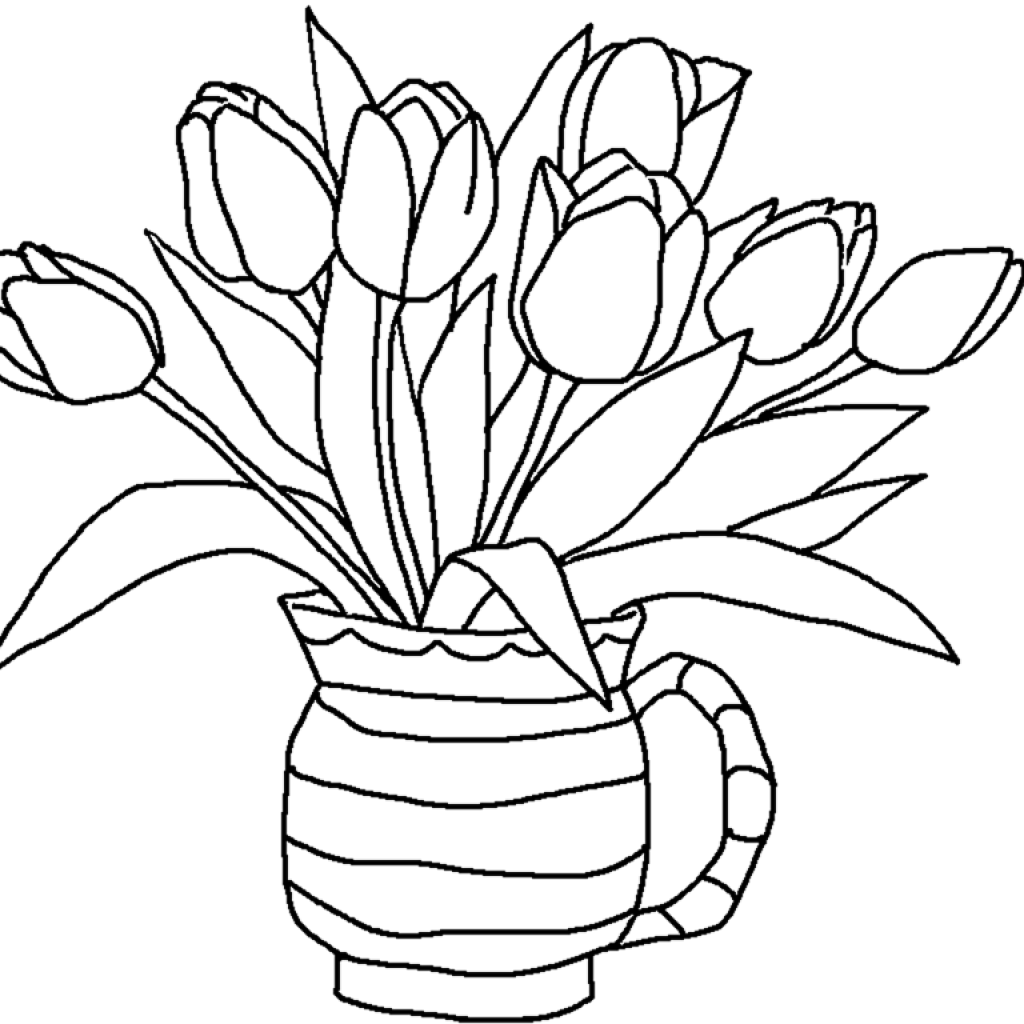 Tulips Pencil Drawing for Kids | Flower Bouquet Images