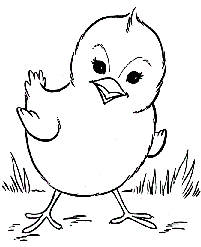 Chicken Pictures To Colour In Cliparts co