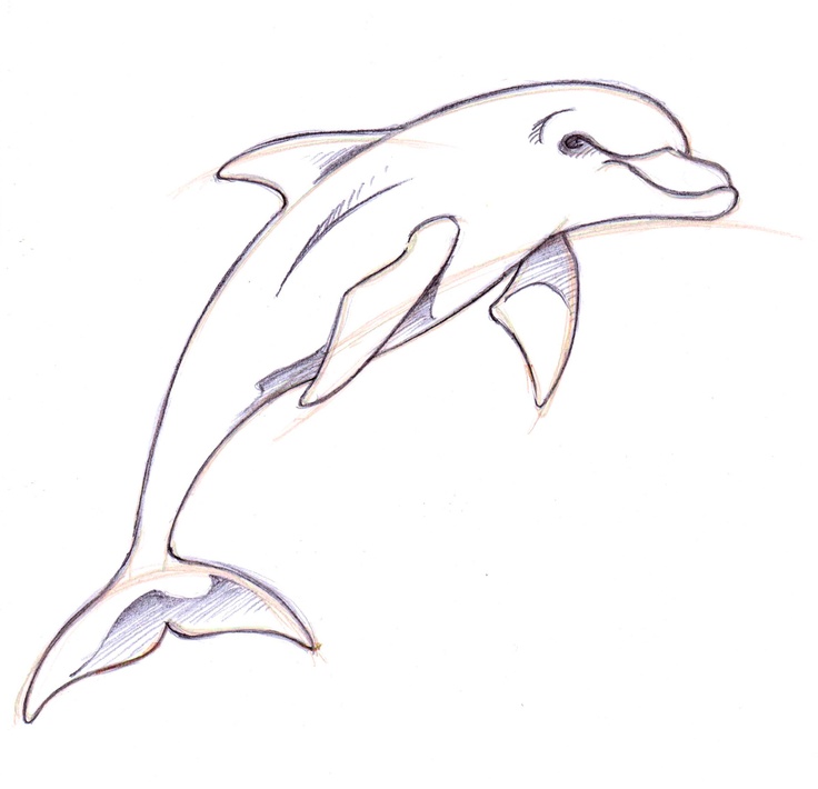 Hand Drawing <3 <3 | Dolphin | Pinterest