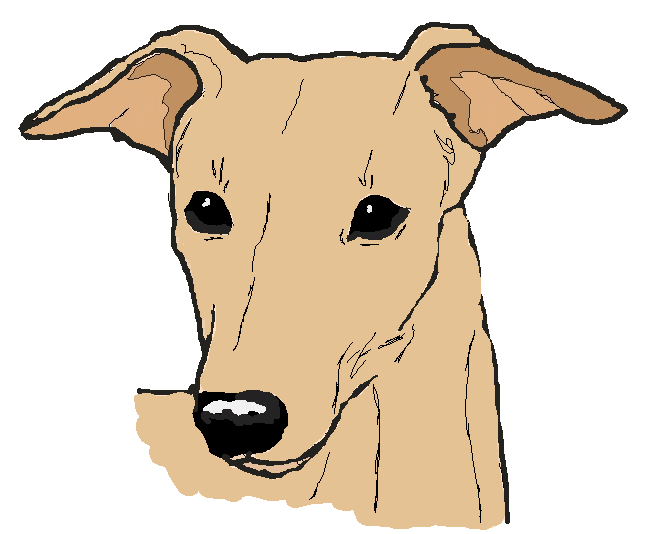 free greyhound dog clipart - photo #1