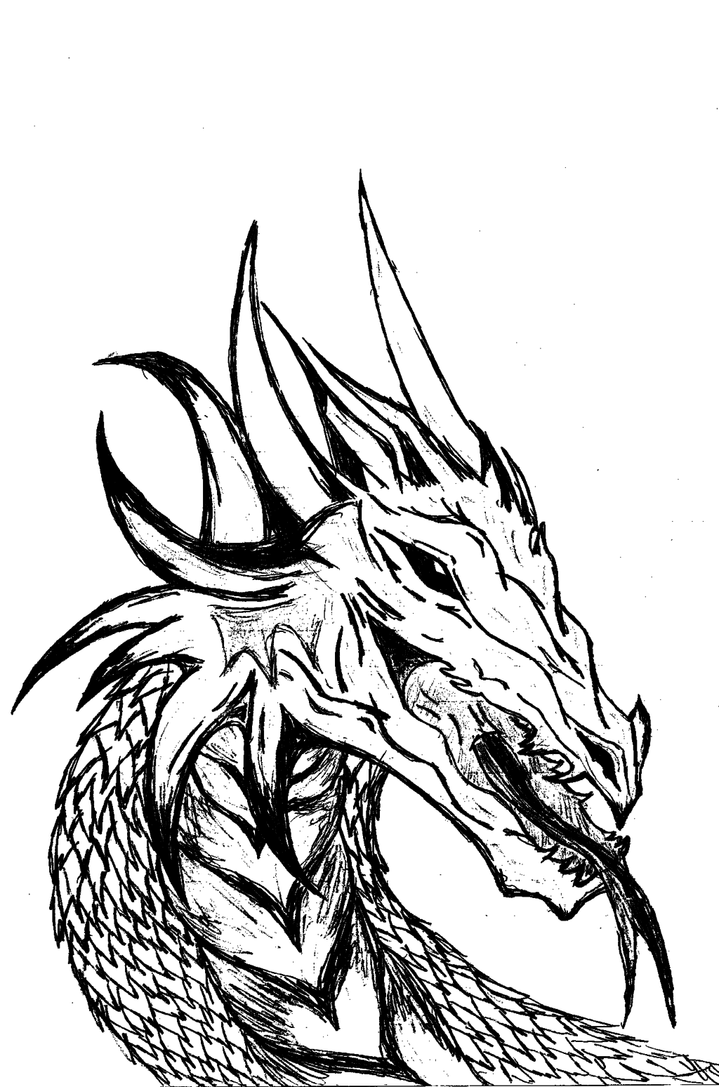 Dragon Head (black and white) by Bellep53 on DeviantArt