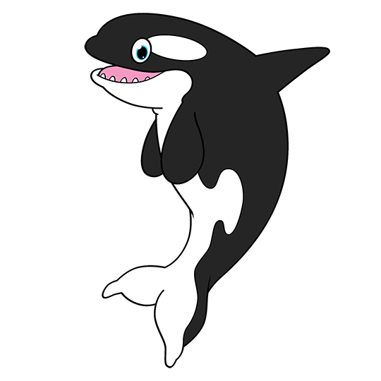 Cartoon Orca Step by Step Drawing Lesson