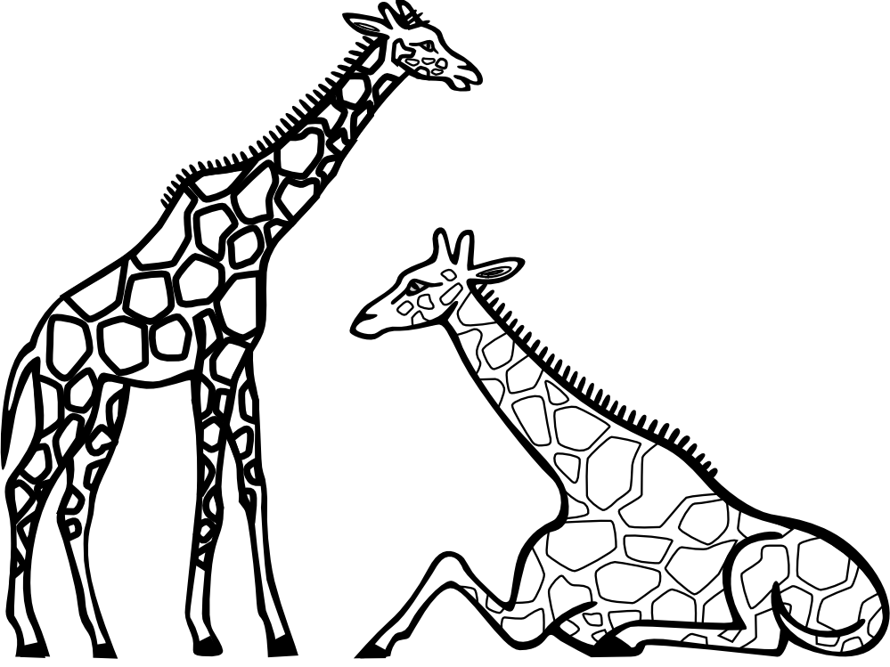 giraffes black white line art Coloring Book Colouring Sheet ...