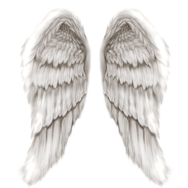 angel-wings-1.jpg