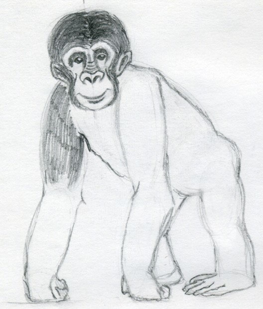 draw-a-monkey07.jpg