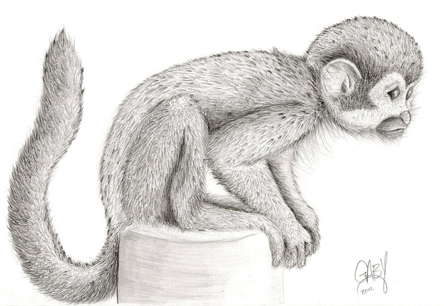 Monkey Drawing by 3dgaby on DeviantArt