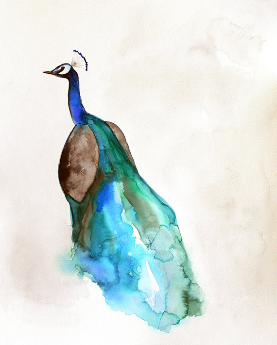 Featured in West Elm Peacock Watercolor Peacock Art by MaiAutumn