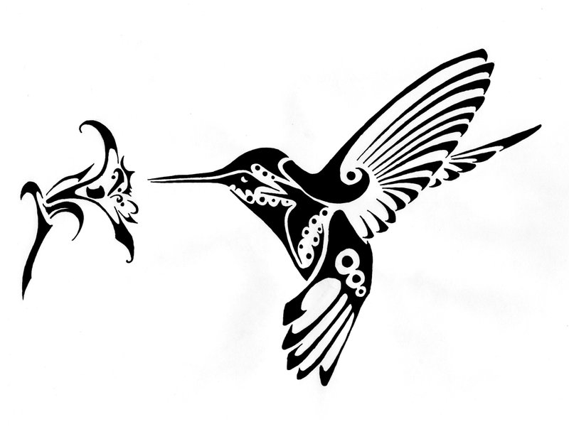 deviantART: More Like Hummingbird tribal tattoo by Finaira