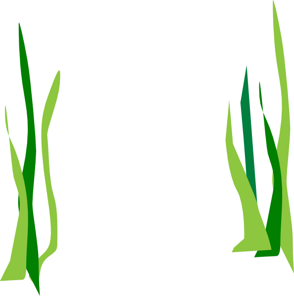 Seaweed Clip Art - ClipArt Best