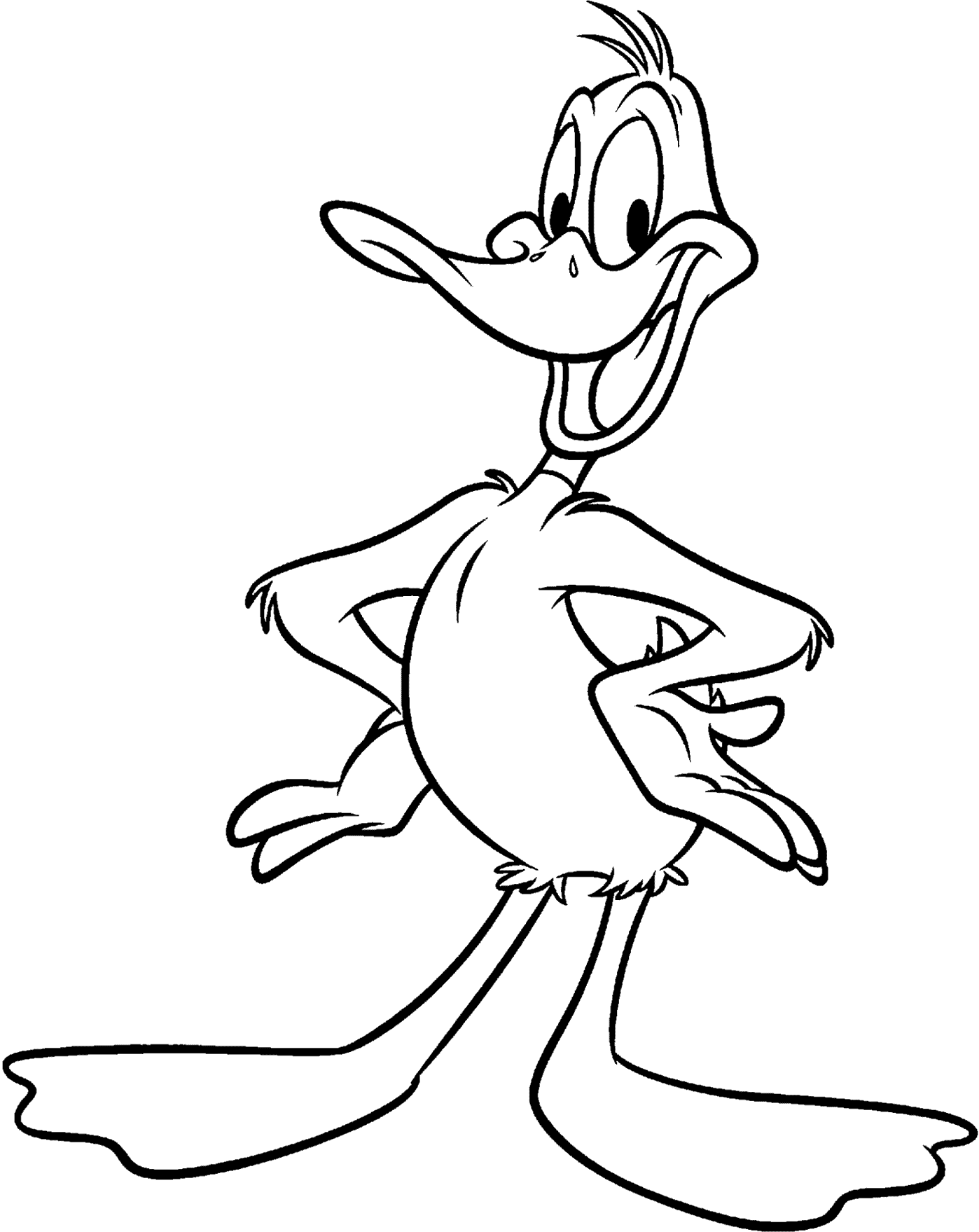 Daffy Duck Coloring Pages | Coloring Page