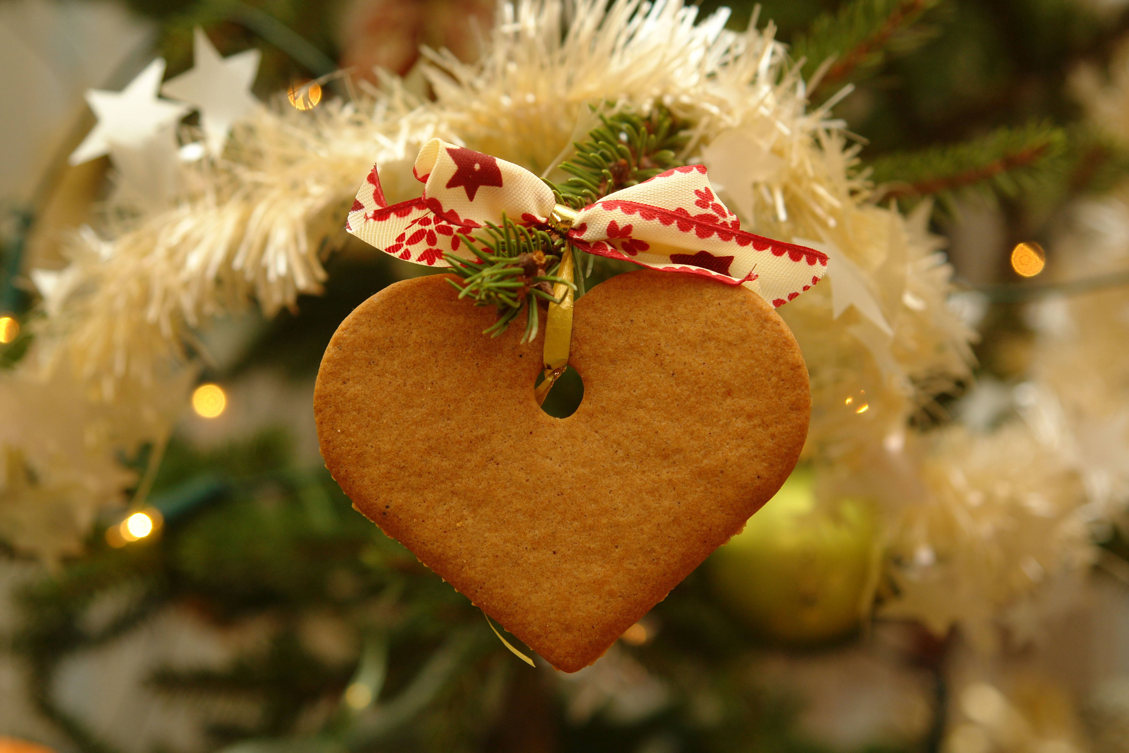 10 Kid & Pet-Friendly Edible Christmas Tree Ornaments ...