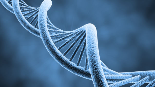 DNA's double helix discovery turns 60 – how monumental is it, really?
