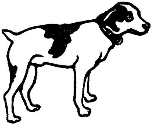Black And White Pictures Of Dogs - ClipArt Best