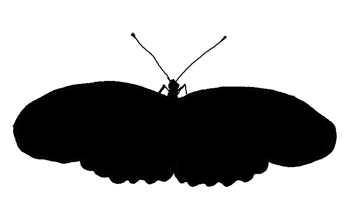 Butterfly Silhouette Clip Art - Cliparts.co