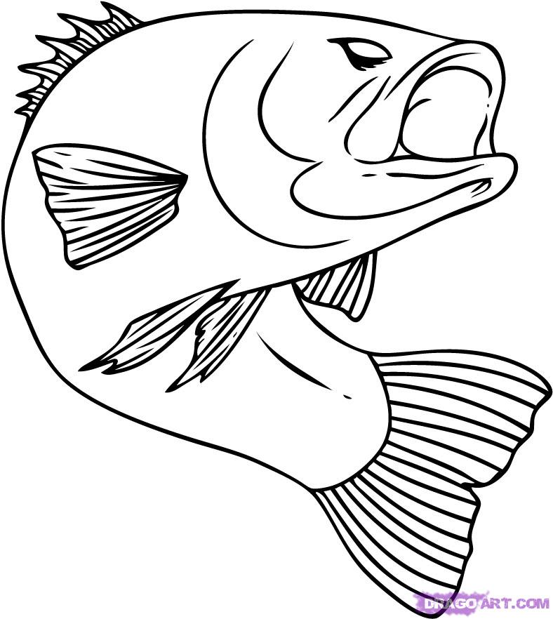 Fish Drawing For Kids - AZ Coloring Pages