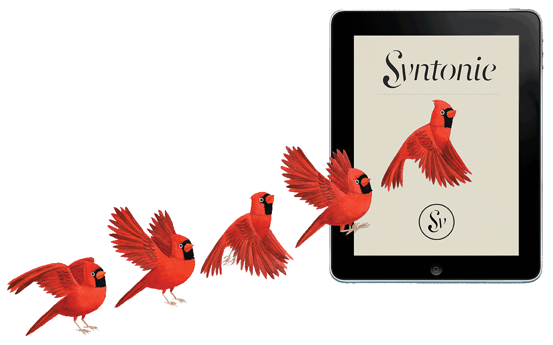 Application iPad - A word's a bird - Un mot est un oiseau