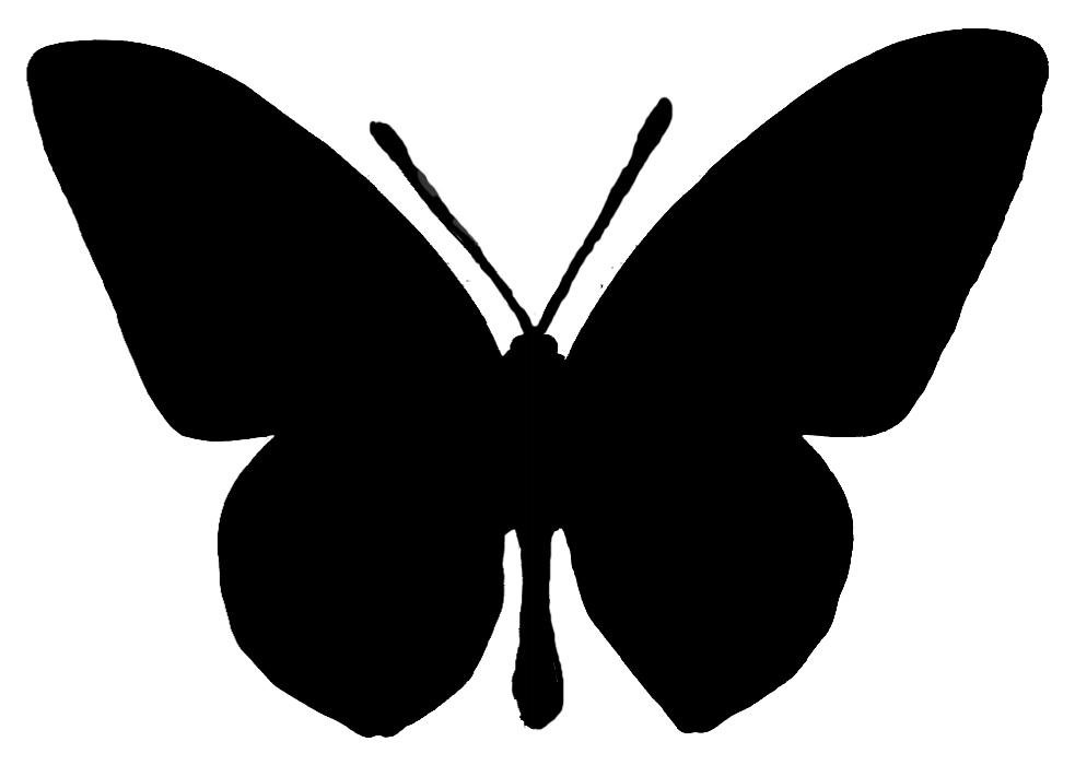 Butterfly Vector - Cliparts.co