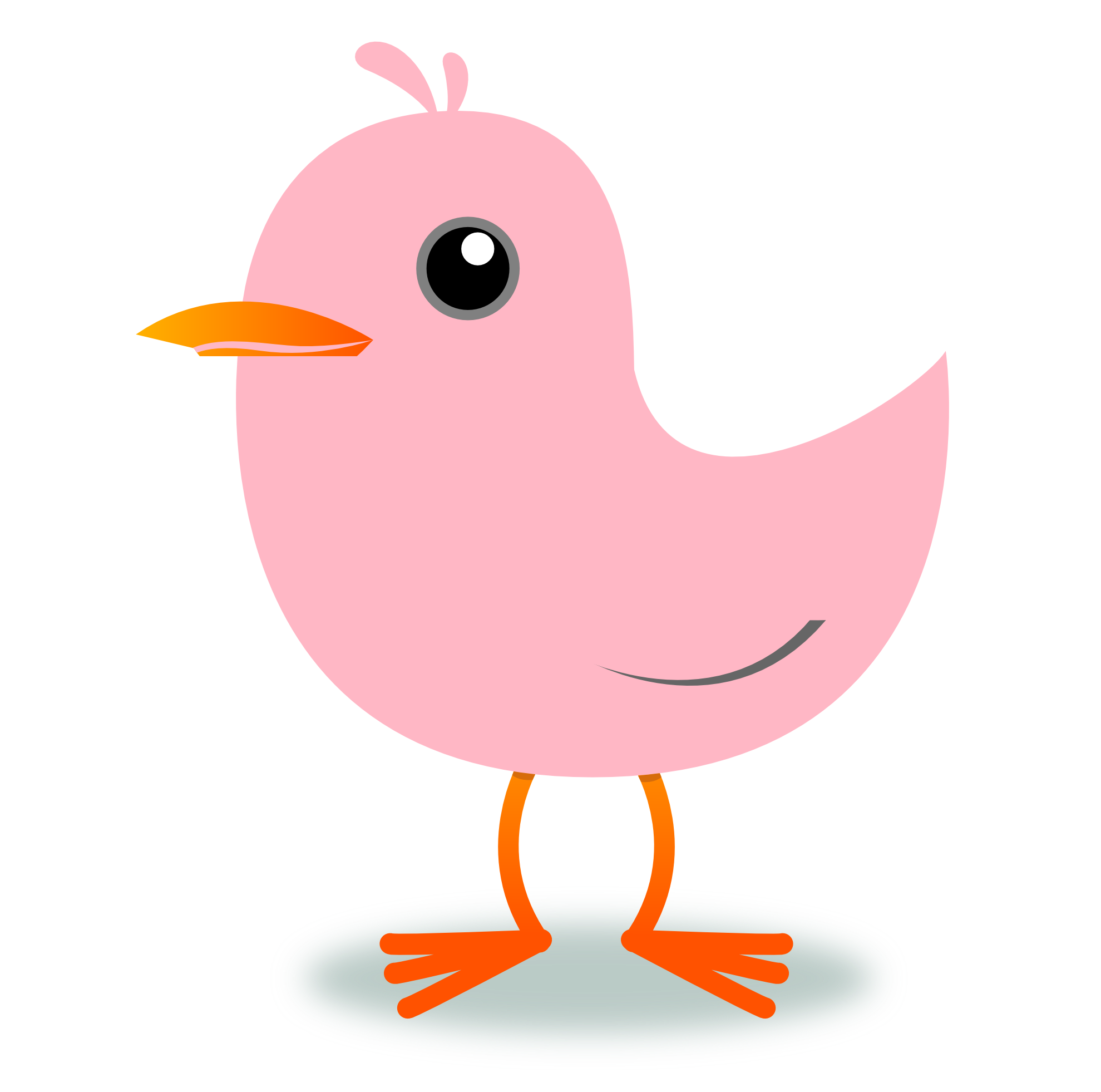 Tweet Twitter Bird Cherry Blossom Pink xochi.info dingle scallywag ...