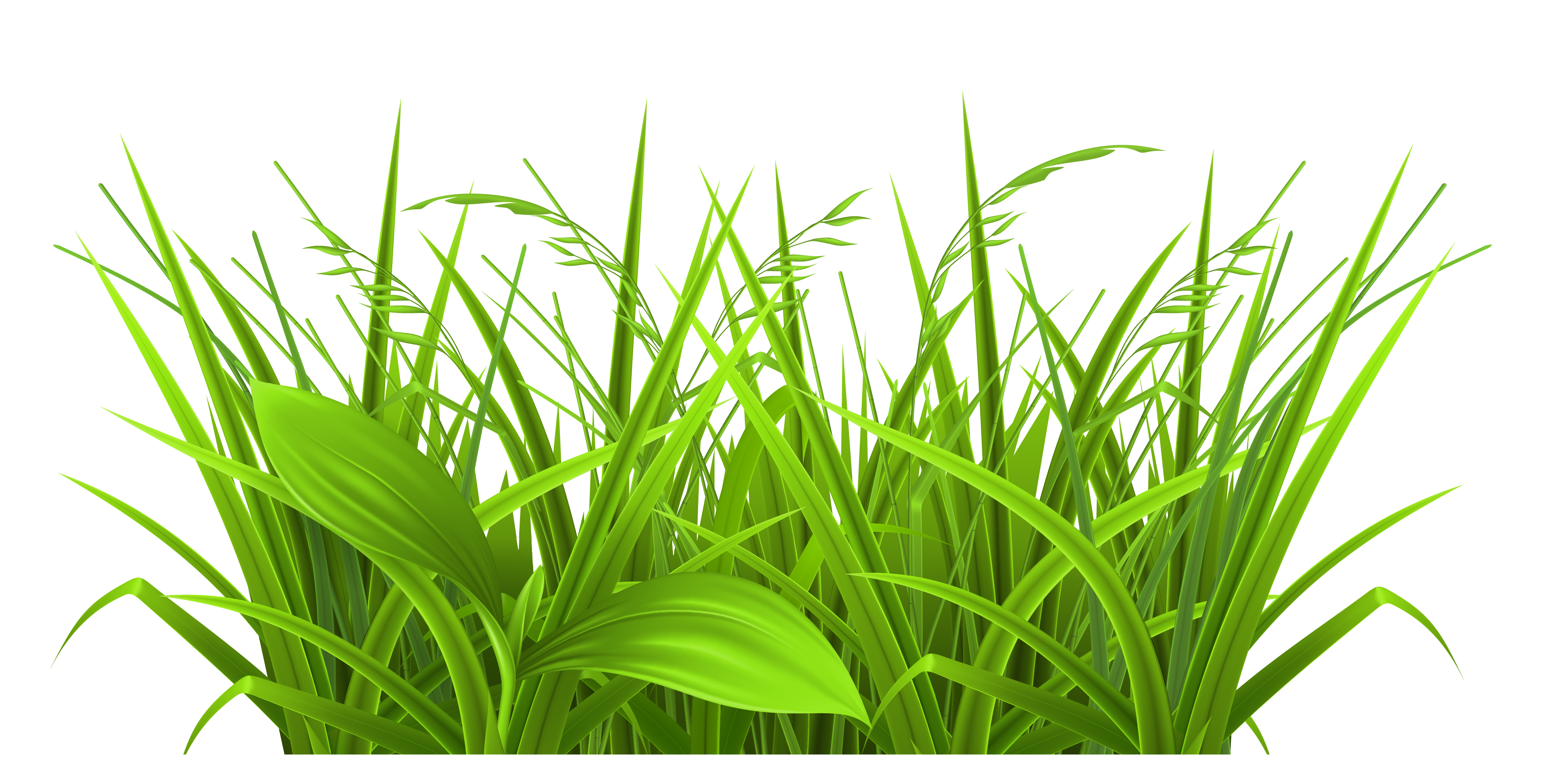 Free Clipart Grass - Cliparts.co