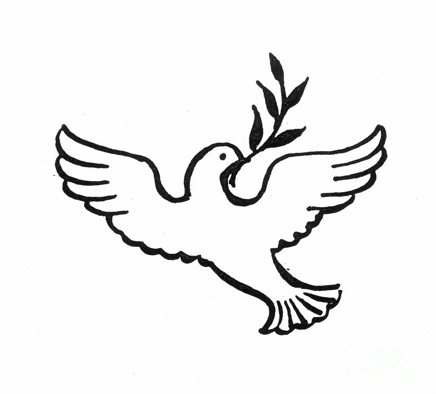 Peace Dove by Granger - Peace Dove Photograph - Peace Dove Fine ...