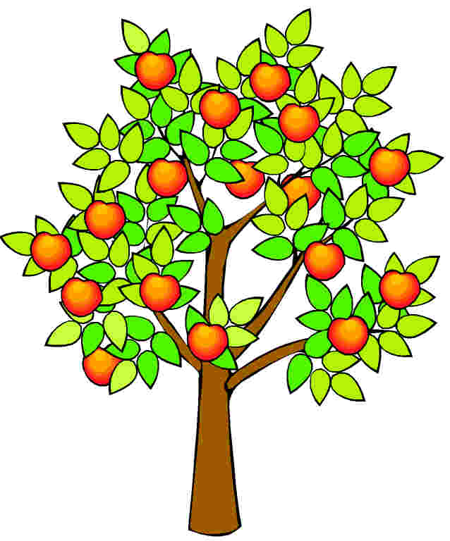 Apple Tree Drawing Cliparts.co