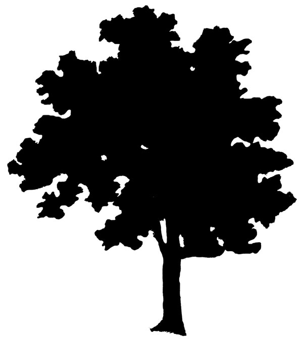 Tree Silhouette Clip Art Free - ClipArt Best