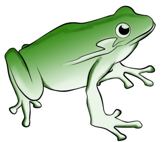 jumping frog clipart - photo #2