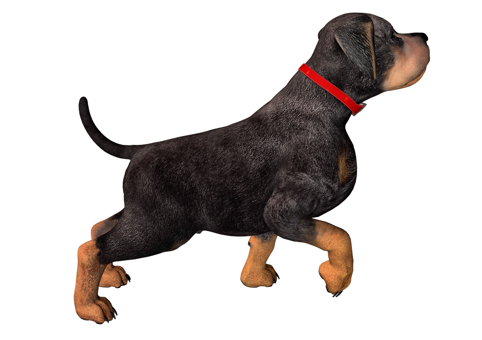 Free High Resolution graphics and clip art: dog png graphics ...