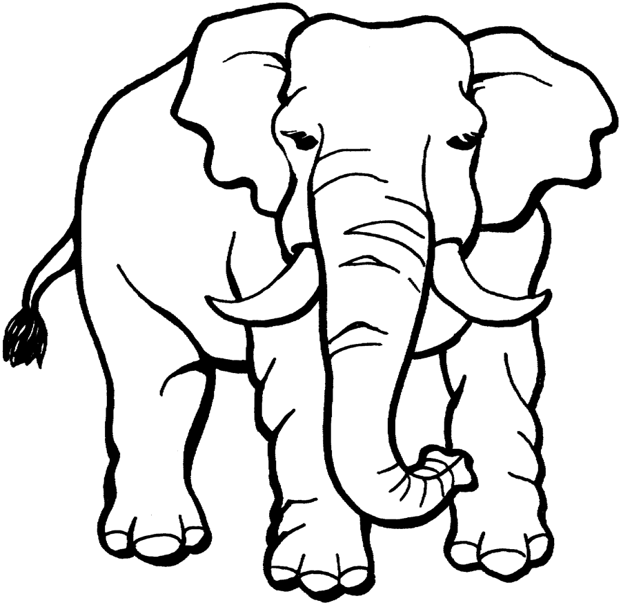 Coloring page: elephant | Free printable downloads from ChoreTell ...