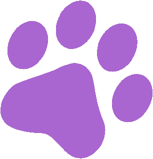 Tienda Online para mascotas | Accesorios para Mascotas