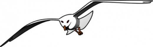 seagull-clipart-black-and- ...