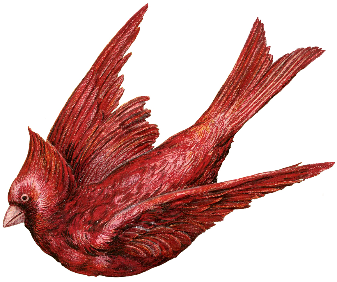 Cardinal Bird Clip Art - Cliparts.co