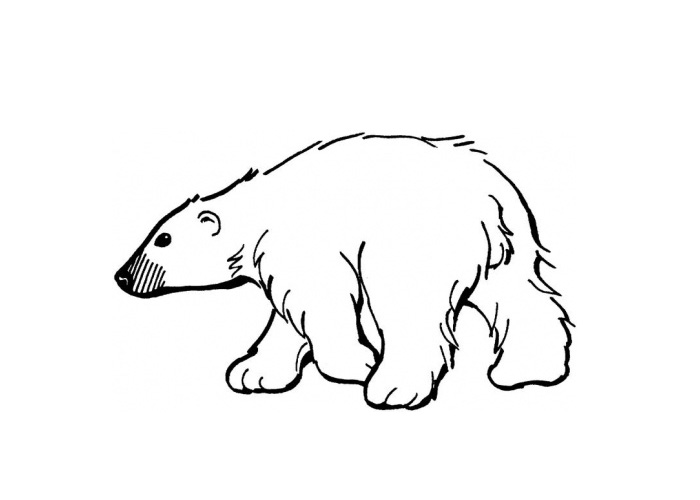 Cute Polar Bear Cartoon - Cliparts.co