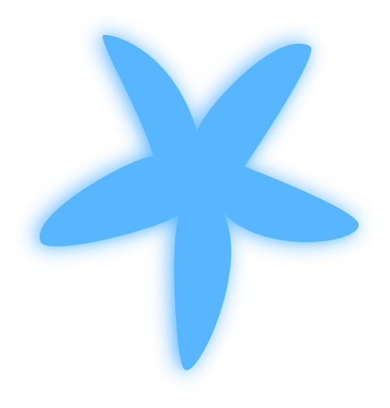 Pix For > Starfish Outline Png