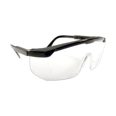 Blog Archive » SCIENCE SAFETY GLASSES
