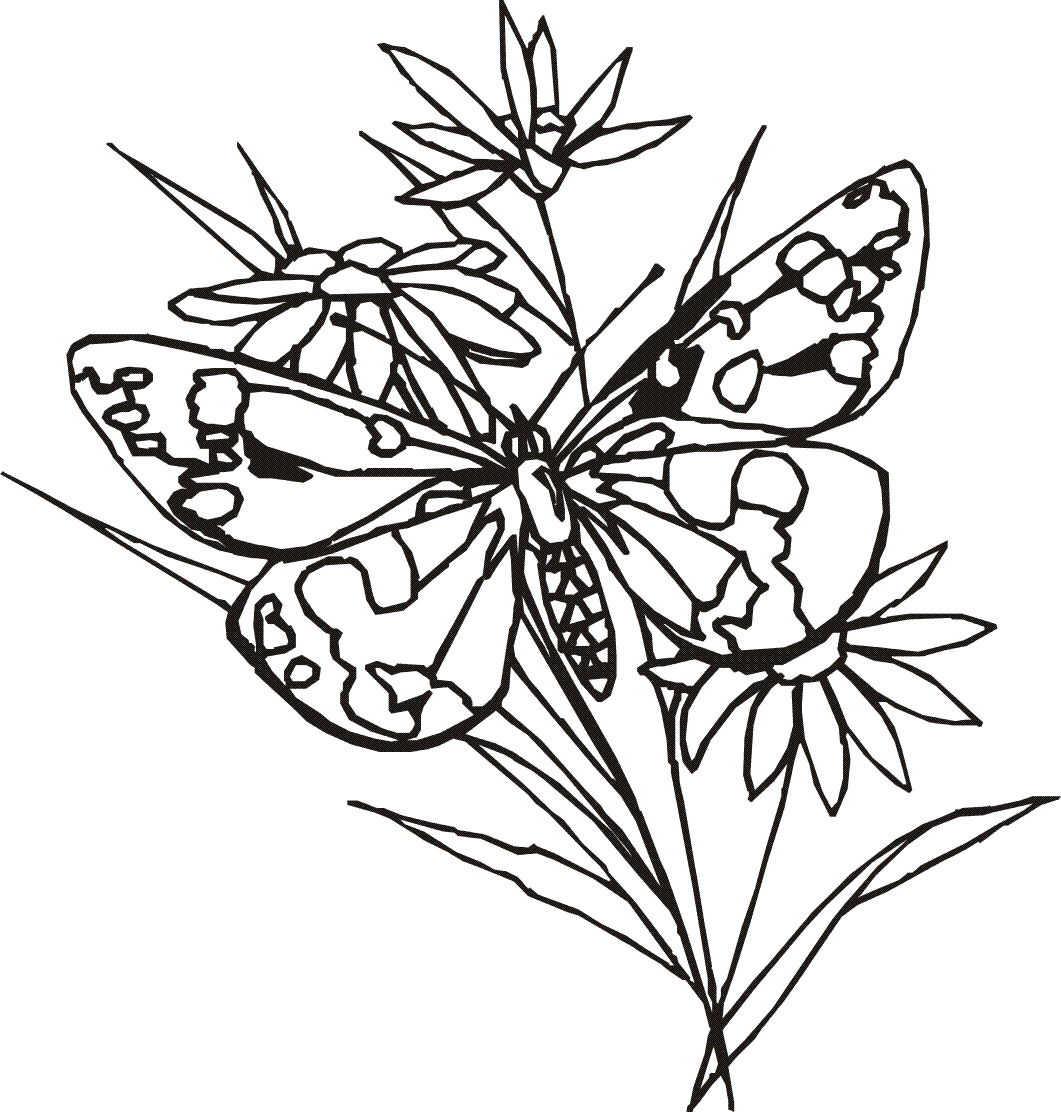 clipart flower drawings - photo #6