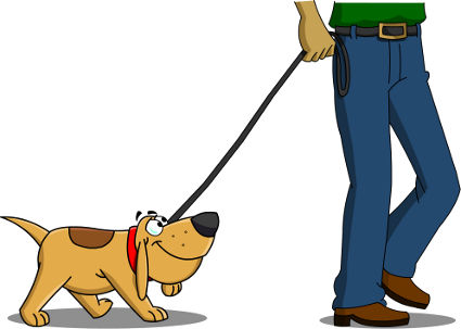 How To Find A Dog Walker