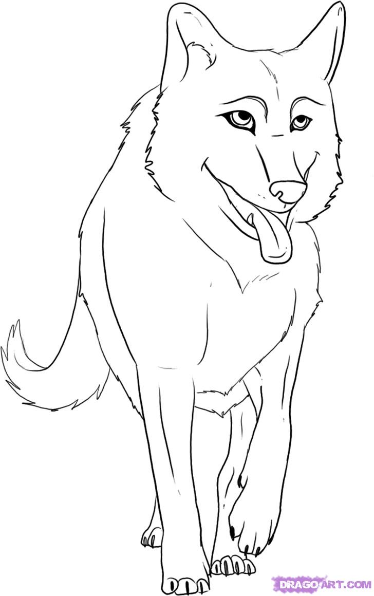 How to Draw a Cartoon Wolf, Step by Step, forest animals, Animals ...