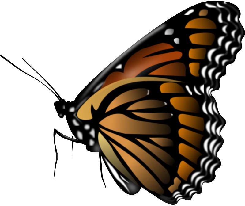 Monarch Butterfly Clipart : 10 Monarch Butterfly Clip Art ...